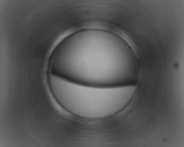 X0000095531139200712140928