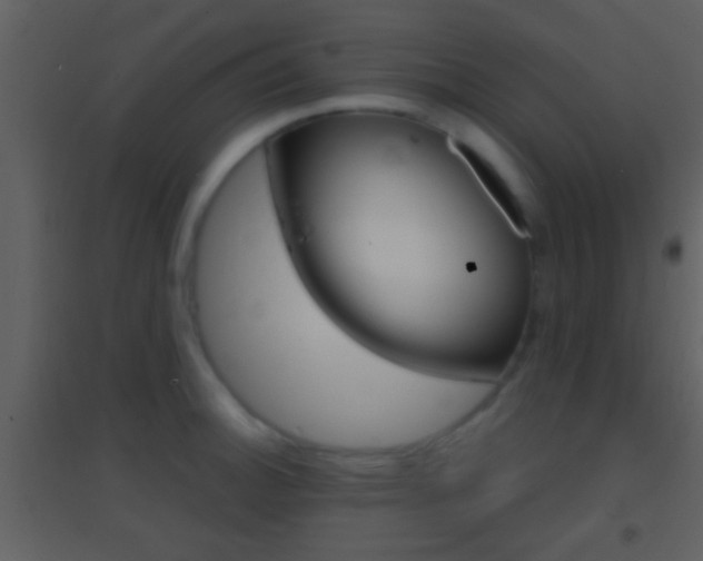 X0000095531140200712140928