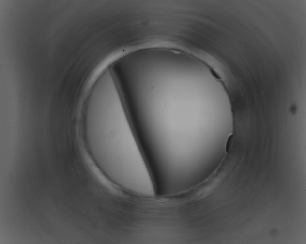X0000095531142200712140928