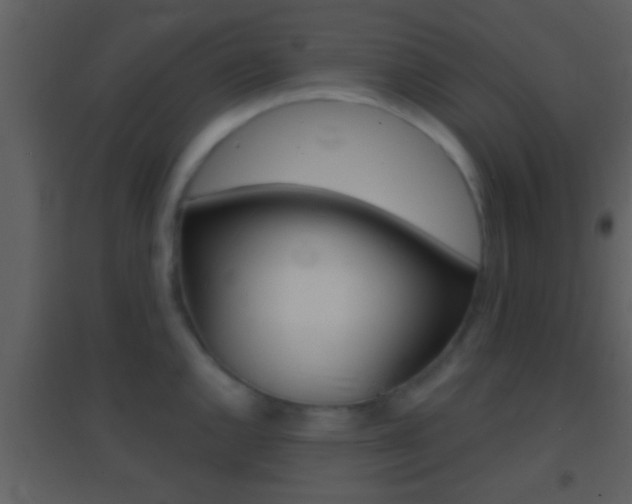 X0000095531144200712140928