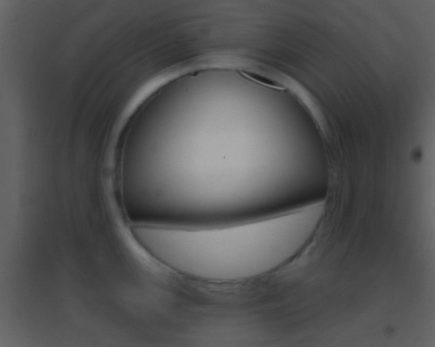 X0000095531147200712140929