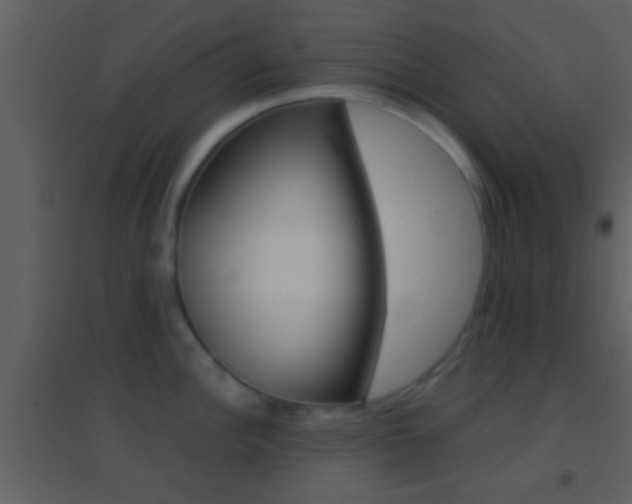X0000095531148200712140929