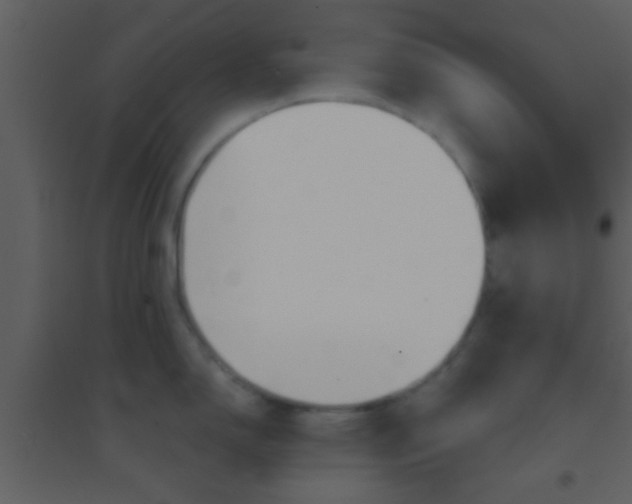 X0000095531150200712140929