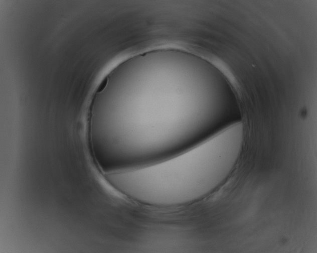 X0000095531151200712140929