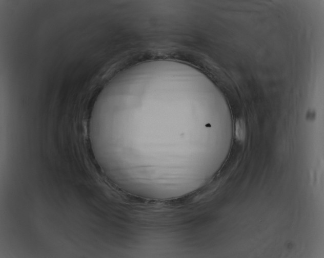 X0000095531155200712140928