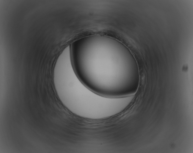 X0000095531156200712140928