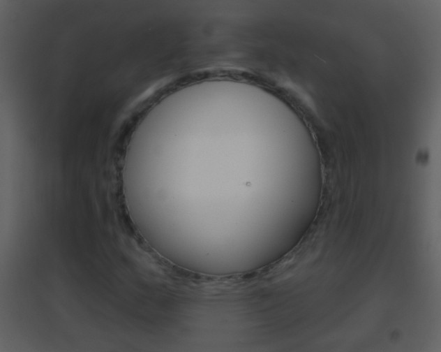 X0000095531159200712140928
