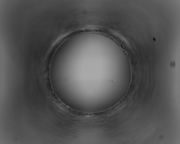 X0000095531160200712140928