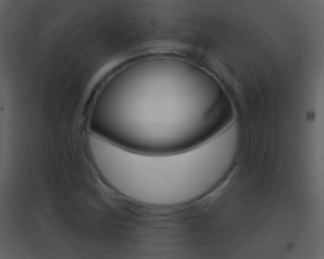 X0000095531164200712140928