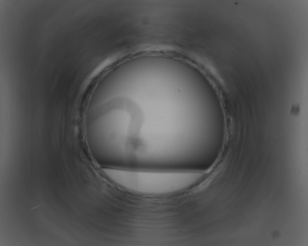 X0000095531165200712140928