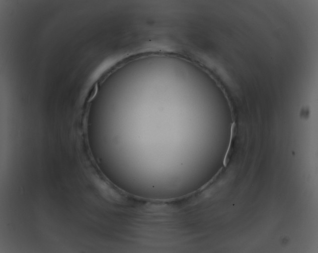 X0000095531168200712140928