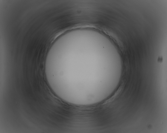 X0000095531169200712140928