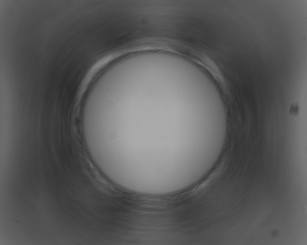 X0000095531172200712140927