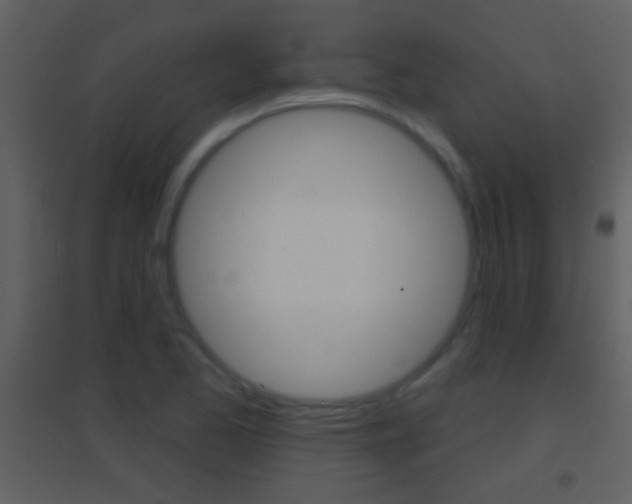 X0000095531173200712140927