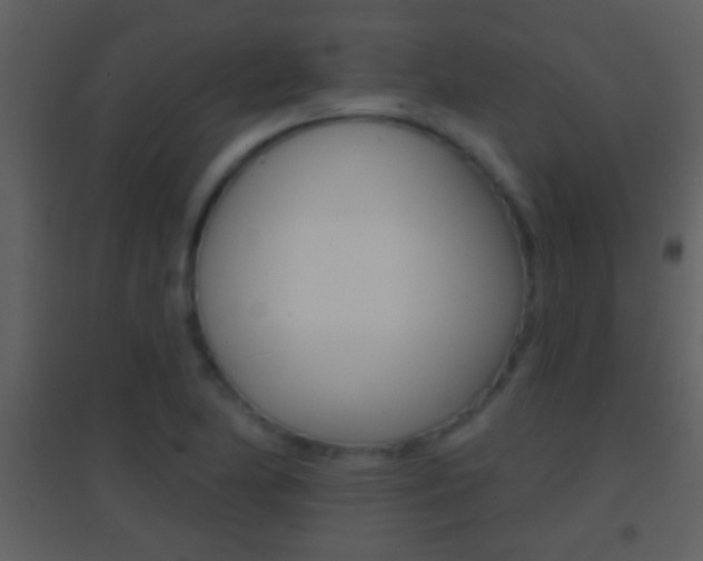 X0000095531174200712140927