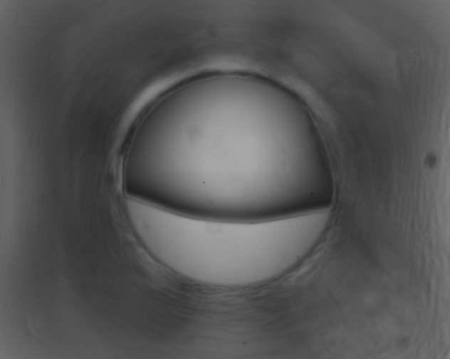 X0000095531175200712140927