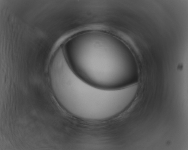 X0000095531176200712140927