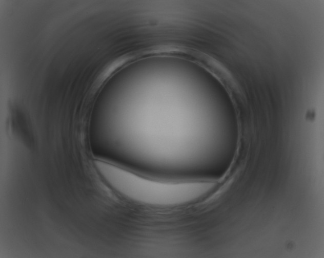 X0000095531177200712140927