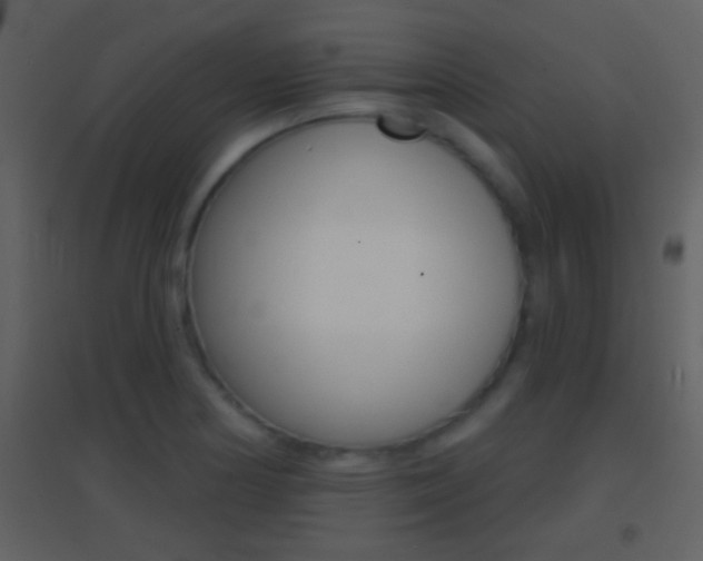 X0000095531178200712140927