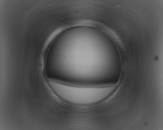 X0000095531180200712140927