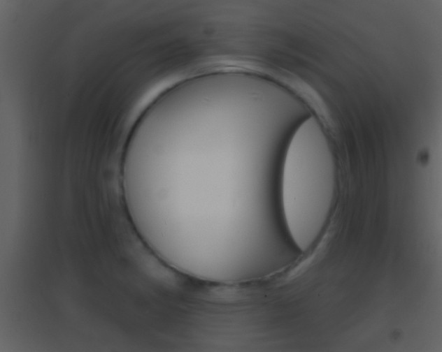 X0000095531182200712140927