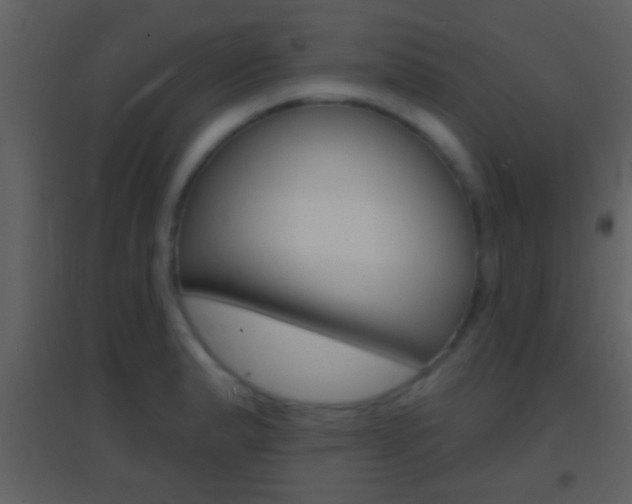 X0000095531183200712140927