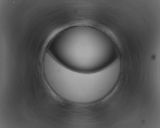 X0000095531184200712140927