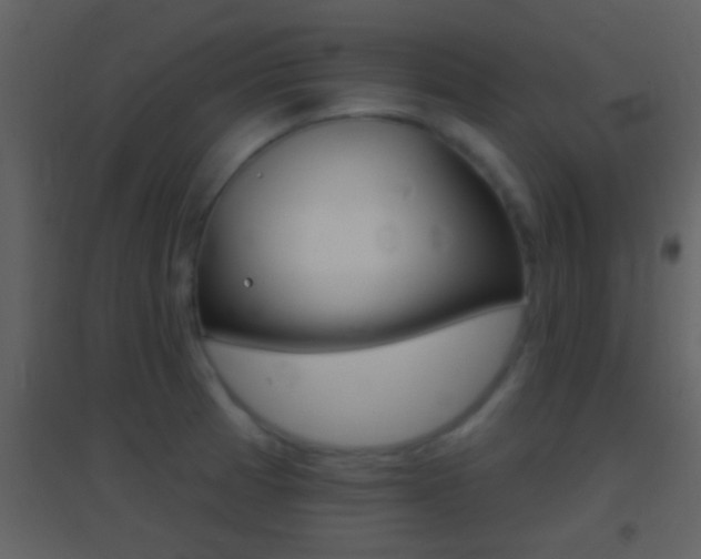 X0000095531185200712140927