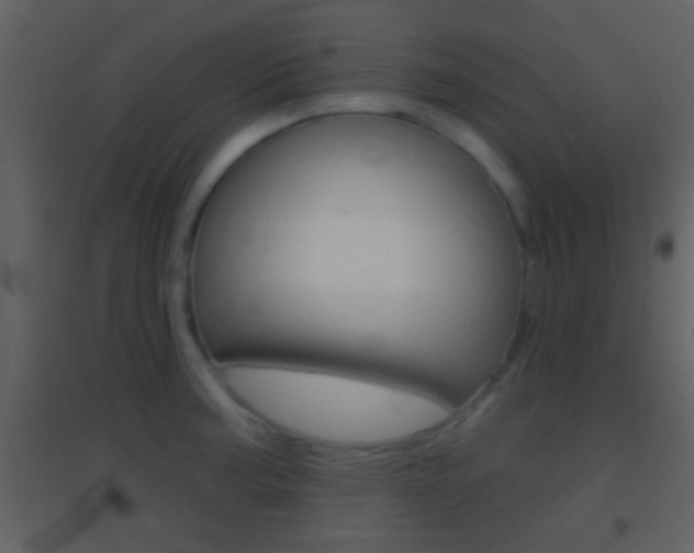 X0000095531187200712140927