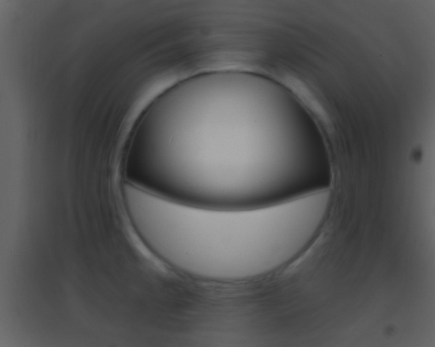 X0000095531189200712140927