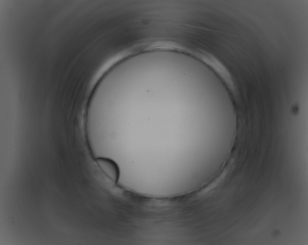 X0000095531190200712140927