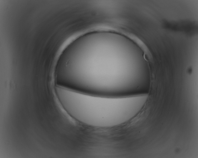 X0000095531191200712140927