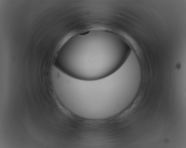 X0000095531193200712140927