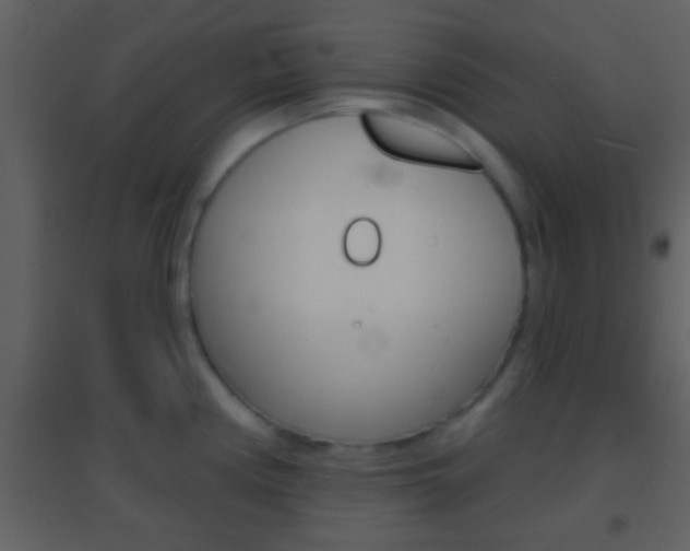 X0000095531194200712140927