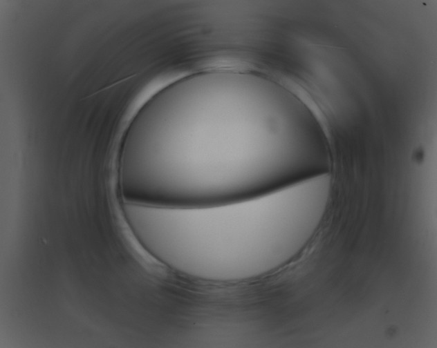 X0000095531195200712140927