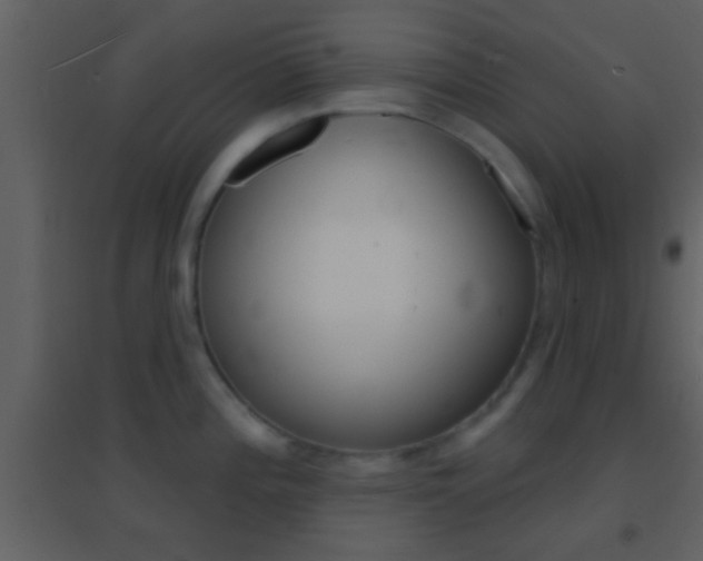 X0000095531196200712140927