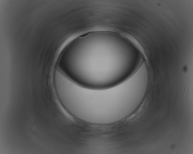 X0000095531197200712140927