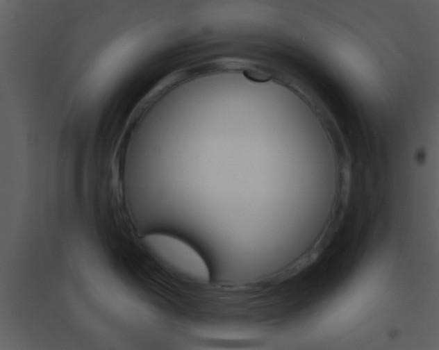 X0000095531198200712140927
