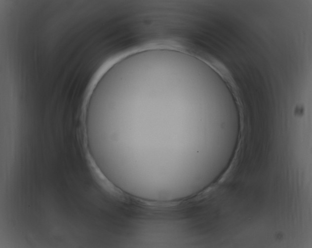 X0000095531200200712140927