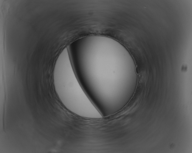 X0000095531202200712140926