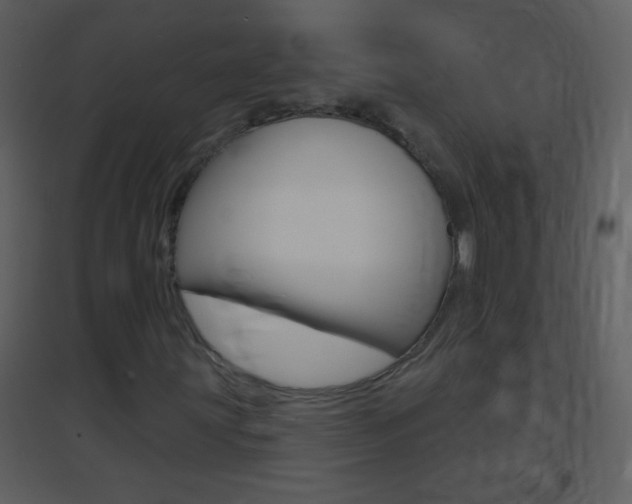 X0000095531203200712140926