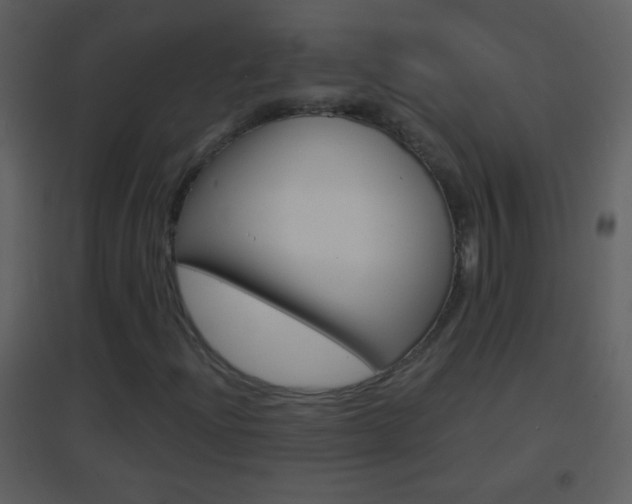 X0000095531204200712140926