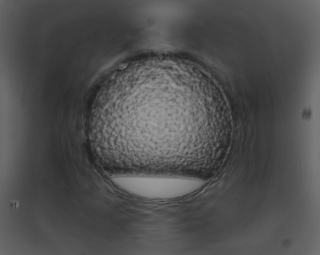 X0000095531205200712140926