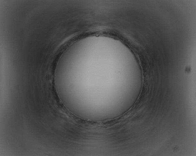 X0000095531206200712140926