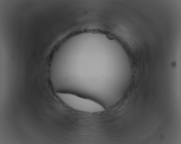 X0000095531207200712140926