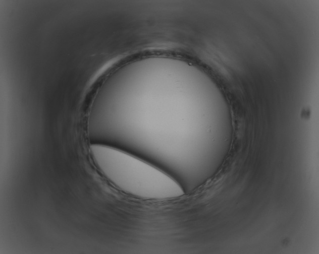 X0000095531208200712140926