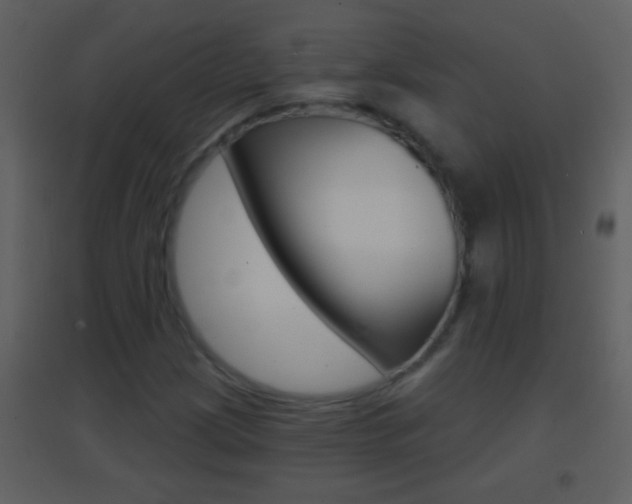 X0000095531209200712140926