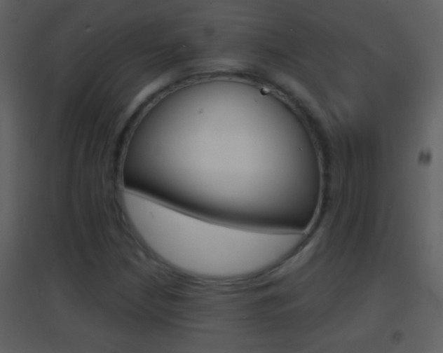 X0000095531210200712140926