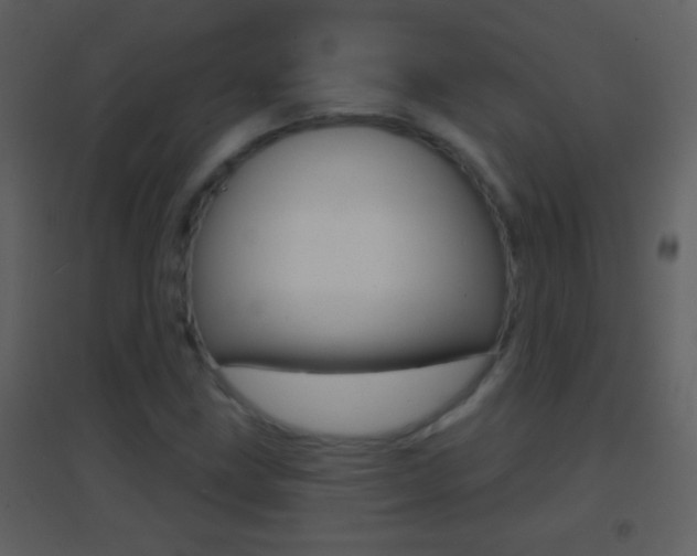 X0000095531211200712140926