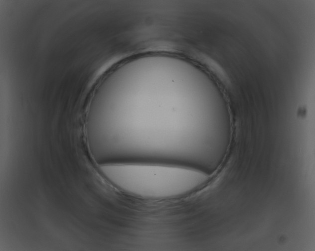 X0000095531212200712140926